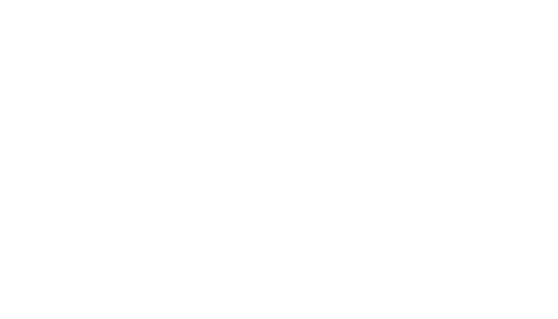Dirty Birdies